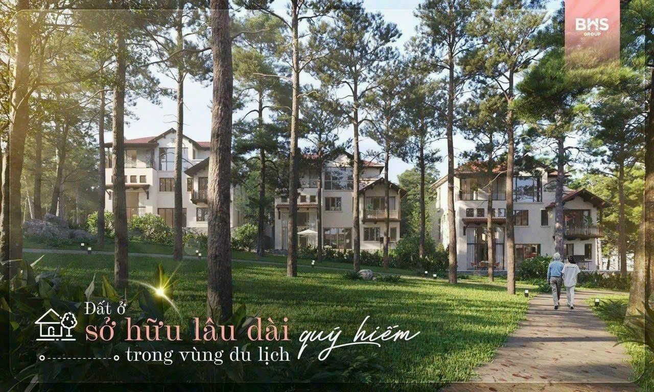 Thung Lũng Thanh Xuân – BIM Group